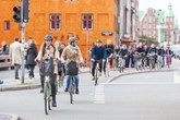 a large group of urban cyclists